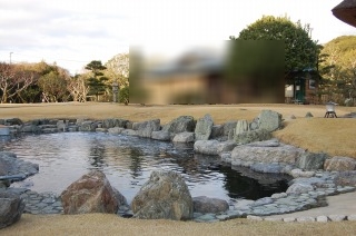 錦鯉 和風池,業者 和風鑑賞池,庭池 業者,,