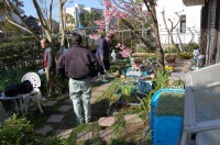 錦鯉 造園,庭池 錦鯉,造園 池,錦鯉池 作り