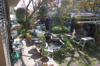 錦鯉 造園,庭池 錦鯉,造園 池,錦鯉池 作り