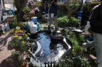 錦鯉 造園,庭池 錦鯉,造園 池,錦鯉池 作り