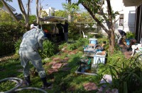 錦鯉 造園,庭池 錦鯉,造園 池,錦鯉池 作り