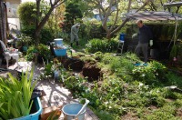 錦鯉 造園,庭池 錦鯉,造園 池,錦鯉池 作り