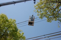 錦鯉 造園,庭池 錦鯉,造園 池,錦鯉池 スーパーマリンろ過器
