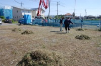 錦鯉 和風池,業者 和風鑑賞池,庭池 業者