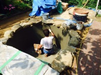 錦鯉 造園,庭池 錦鯉,造園 池,錦鯉池 左官