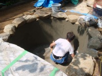 錦鯉 造園,庭池 錦鯉,造園 池,錦鯉池 左官