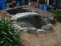 錦鯉 造園,庭池 錦鯉,造園 池,錦鯉池 左官