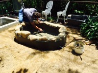 錦鯉 造園,庭池 錦鯉,造園 池,錦鯉池 左官