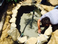 錦鯉 造園,庭池 錦鯉,造園 池,錦鯉池 左官