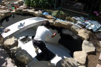 錦鯉 造園,庭池 錦鯉,造園 池,錦鯉池 池用塗料