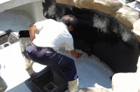 錦鯉 造園,庭池 錦鯉,造園 池,錦鯉池 池用塗料