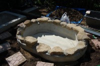 錦鯉 造園,庭池 錦鯉,造園 池,錦鯉池 左官