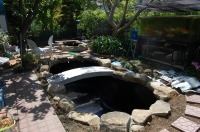 錦鯉 造園,庭池 錦鯉,造園 池,錦鯉池 池用塗料