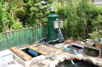 錦鯉 造園,庭池 錦鯉,造園 池,錦鯉池 スーパーマリンろ過器