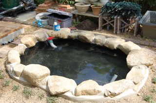 錦鯉 造園,庭池 錦鯉,造園 池,錦鯉池 作り