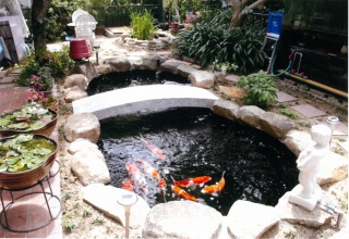 錦鯉 造園,庭池 錦鯉,造園 池,錦鯉池 作り