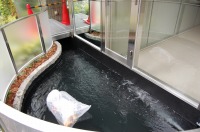 錦鯉池 濾過,スーパーマリン 濾過,庭池 ろ過装置,錦鯉池 濾過装置