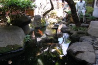 錦鯉池 作り,池 リフォーム,池 改修,庭池 業者