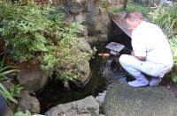 庭池 防水工事,庭池 FRP防水,池 水漏れ修理