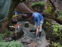錦鯉池　作り,池　リフォーム,池　改修,庭池 解体