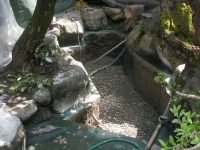 錦鯉池 作り,池 リフォーム,池 改修,庭池 業者