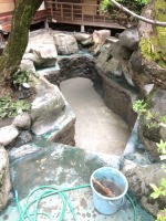 錦鯉池 作り,池 リフォーム,池 改修,庭池 業者