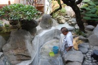 錦鯉池 作り,池 リフォーム,池 改修,庭池 業者