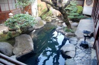 錦鯉池 作り,池 リフォーム,池 改修,庭池 業者