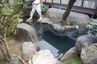 錦鯉池 作り,池 リフォーム,池 改修,庭池 業者