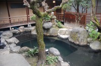 錦鯉池 作り,池 リフォーム,池 改修,庭池 業者