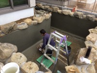 錦鯉 和風池,業者 和風鑑賞池,庭池 左官