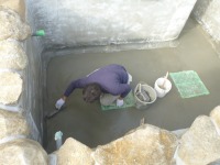 錦鯉 和風池,業者 和風鑑賞池,庭池 左官