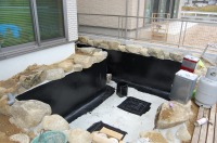 錦鯉 和風池,業者 和風鑑賞池,庭池 池用塗料