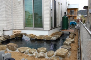 錦鯉 和風池,業者 和風鑑賞池,庭池 スーパーマリン