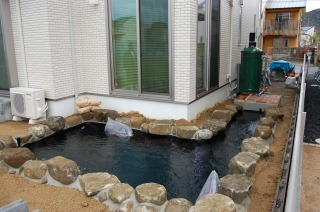 錦鯉 和風池,業者 和風鑑賞池,庭池 業者