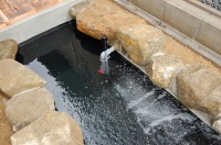 錦鯉 造園,庭池 錦鯉,造園 池,錦鯉池 アクアジェット