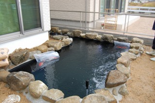 錦鯉 和風池,業者 和風鑑賞池,庭池 池用塗料