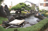 錦鯉 引越し,錦鯉 輸送,水槽車,,