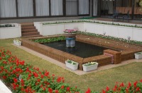 錦鯉 引越し,錦鯉 輸送,水槽車,,