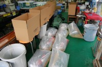 錦鯉 引越し,錦鯉 輸送,水槽車,,