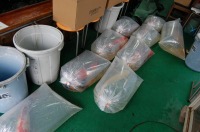 錦鯉 引越し,錦鯉 輸送,水槽車,,