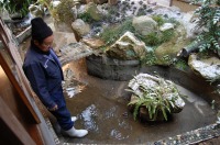 庭池 防水工事,庭池 FRP防水,池 水漏れ修理