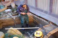 庭池 防水工事,庭池 FRP防水,池 水漏れ修理