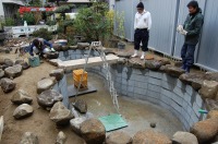 錦鯉 造園,庭池 錦鯉,造園 池,錦鯉池 ブロック