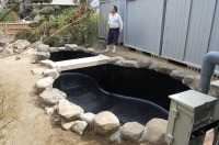 錦鯉 造園,庭池 錦鯉,造園 池,錦鯉池 池用塗料