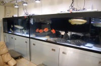 大型水槽 濾過設備,ビッグタンク 濾過,3000水槽 濾過