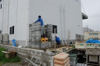 窓付水槽 アロワナ,5000水槽 アロワナ,FRP水槽 窓付,