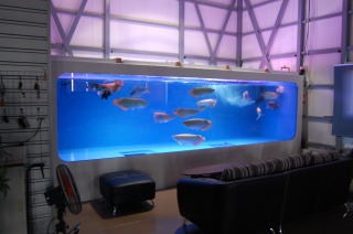 窓付水槽 アロワナ,5000水槽 アロワナ,FRP水槽 窓付,