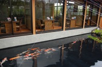 庭池 防水工事,庭池 FRP防水,池 水漏れ修理