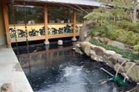 庭池 防水工事,庭池 FRP防水,池 水漏れ修理